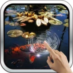 koi fish in the pond android application logo